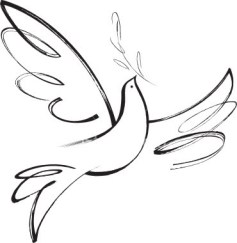 image: google images