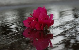 image source:parktography