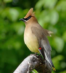 image source:Bing images