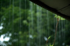 image source:bing images