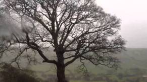 image source:bing images